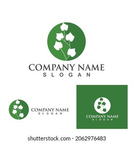 Logotipos de ecología de hoja de árbol verde elemento de naturaleza vector