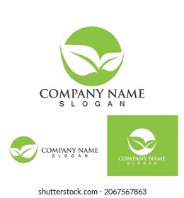 Logos of green Tree leaf ecology nature element vector