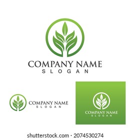 Logos of green Tree leaf ecology nature element vector