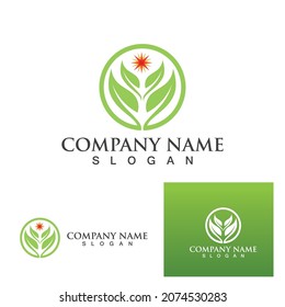Logotipos de ecología de hoja de árbol verde elemento de naturaleza vector