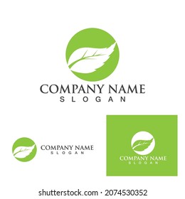 Logos of green Tree leaf ecology nature element vector