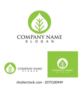 Logotipos de ecología de hoja de árbol verde elemento de naturaleza vector