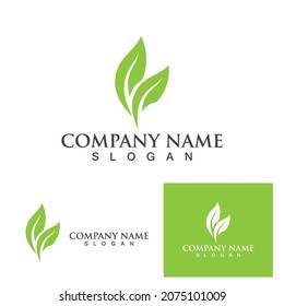 Logos of green Tree leaf ecology nature element vector