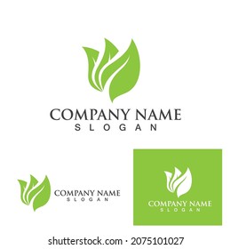 Logos of green Tree leaf ecology nature element vector