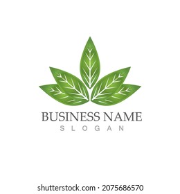 Logos of green Tree leaf ecology nature element vector