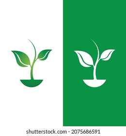 Logos of green Tree leaf ecology nature element vector