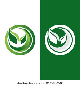 Logos of green Tree leaf ecology nature element vector