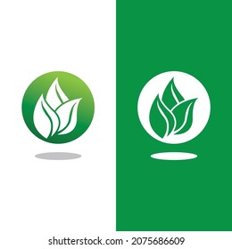 Logos of green Tree leaf ecology nature element vector