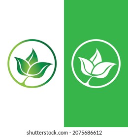 Logos of green Tree leaf ecology nature element vector