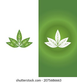 Logos of green Tree leaf ecology nature element vector