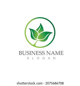 Logos of green Tree leaf ecology nature element vector