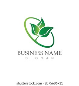 Logos of green Tree leaf ecology nature element vector
