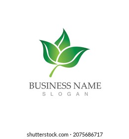 Logos of green Tree leaf ecology nature element vector