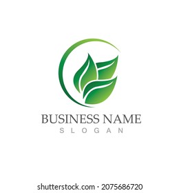 Logos of green Tree leaf ecology nature element vector