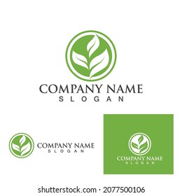 Logotipos de ecología de hoja de árbol verde elemento de naturaleza vector