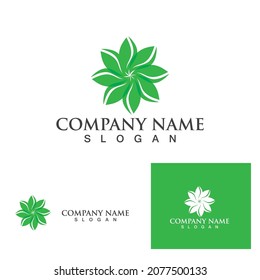 Logos of green Tree leaf ecology nature element vector
