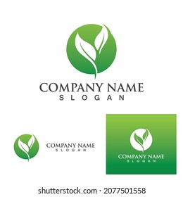 Logos of green Tree leaf ecology nature element vector
