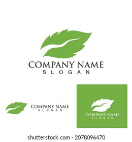 Logos of green Tree leaf ecology nature element vector