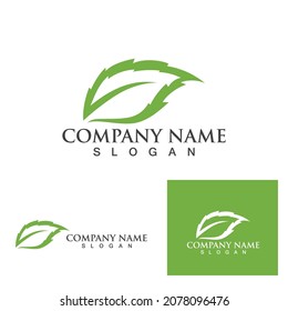 Logos of green Tree leaf ecology nature element vector