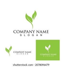 Logotipos de ecología de hoja de árbol verde elemento de naturaleza vector