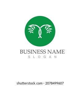 Logos of green Tree leaf ecology nature element vector