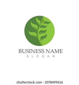 Logos of green Tree leaf ecology nature element vector