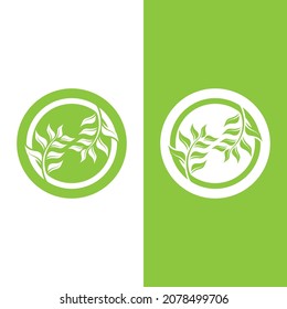 Logos of green Tree leaf ecology nature element vector