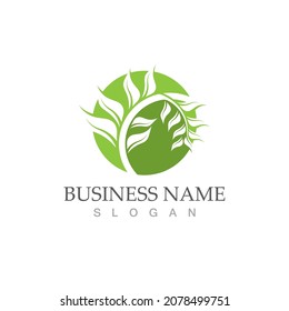 Logos of green Tree leaf ecology nature element vector