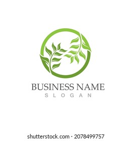 Logos of green Tree leaf ecology nature element vector