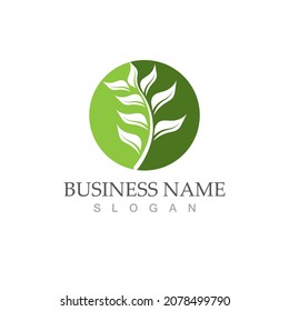Logos of green Tree leaf ecology nature element vector