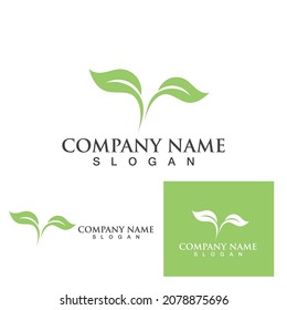 Logos of green Tree leaf ecology nature element vector