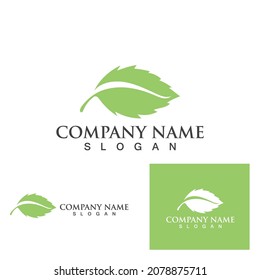 Logos von grünen Baumblätterökologie, Naturelement Vektorgrafik
