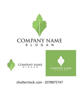 Logos of green Tree leaf ecology nature element vector