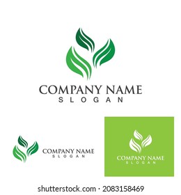 Logos of green Tree leaf ecology nature element vector