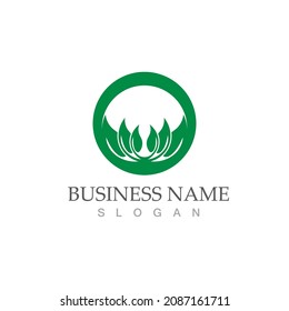 Logos of green Tree leaf ecology nature element vector