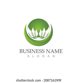 Logos of green Tree leaf ecology nature element vector