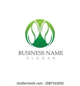 Logos of green Tree leaf ecology nature element vector