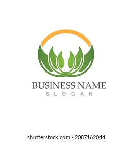 Logos of green Tree leaf ecology nature element vector