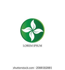 Logos of green Tree leaf ecology nature element vector