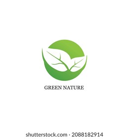 Logos of green Tree leaf ecology nature element vector