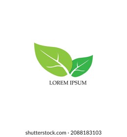 Logos of green Tree leaf ecology nature element vector