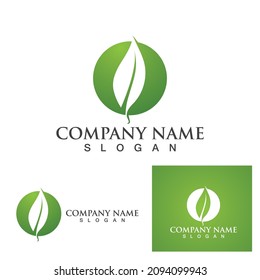 Logos of green Tree leaf ecology nature element vector