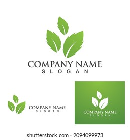Logos of green Tree leaf ecology nature element vector