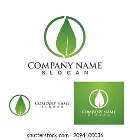 Logos of green Tree leaf ecology nature element vector
