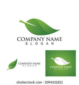 Logos of green Tree leaf ecology nature element vector