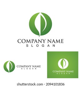 Logos of green Tree leaf ecology nature element vector
