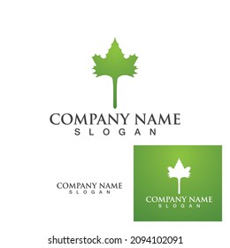 Logos of green Tree leaf ecology nature element vector