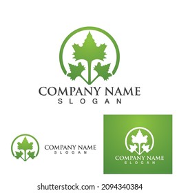 Logos of green Tree leaf ecology nature element vector