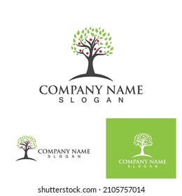Logos of green Tree leaf ecology nature element vector