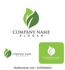 Logos of green Tree leaf ecology nature element vector